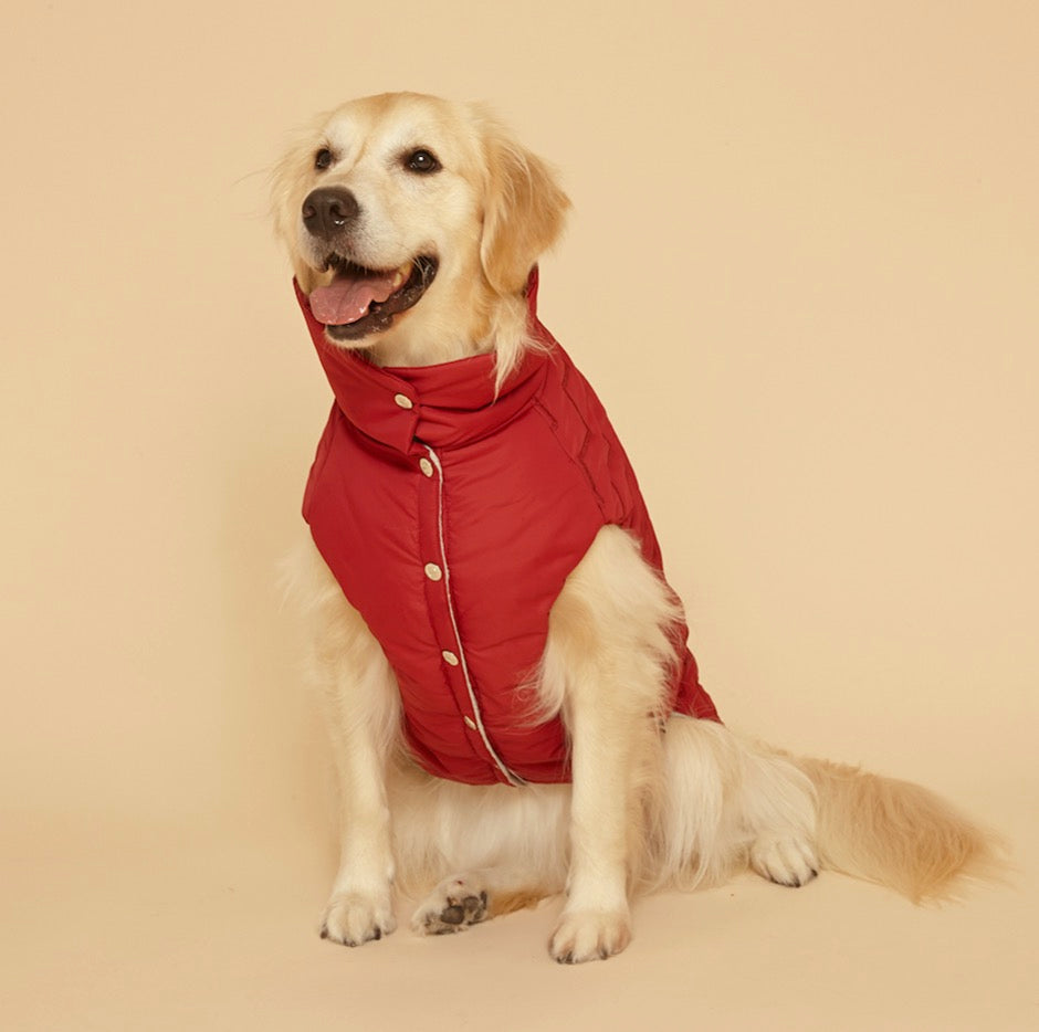 PuppyGallery - "Marais padding" koiran parka takki
