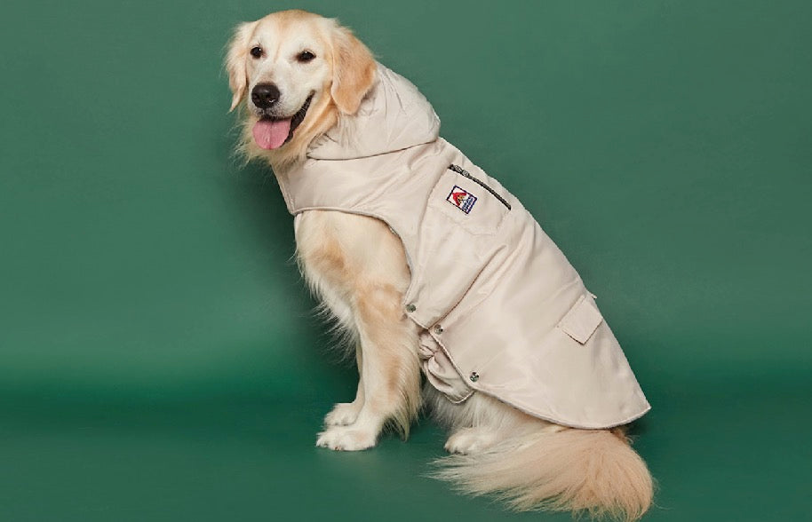 PuppyGallery - "Calgary jacket" koiran pilottitakki