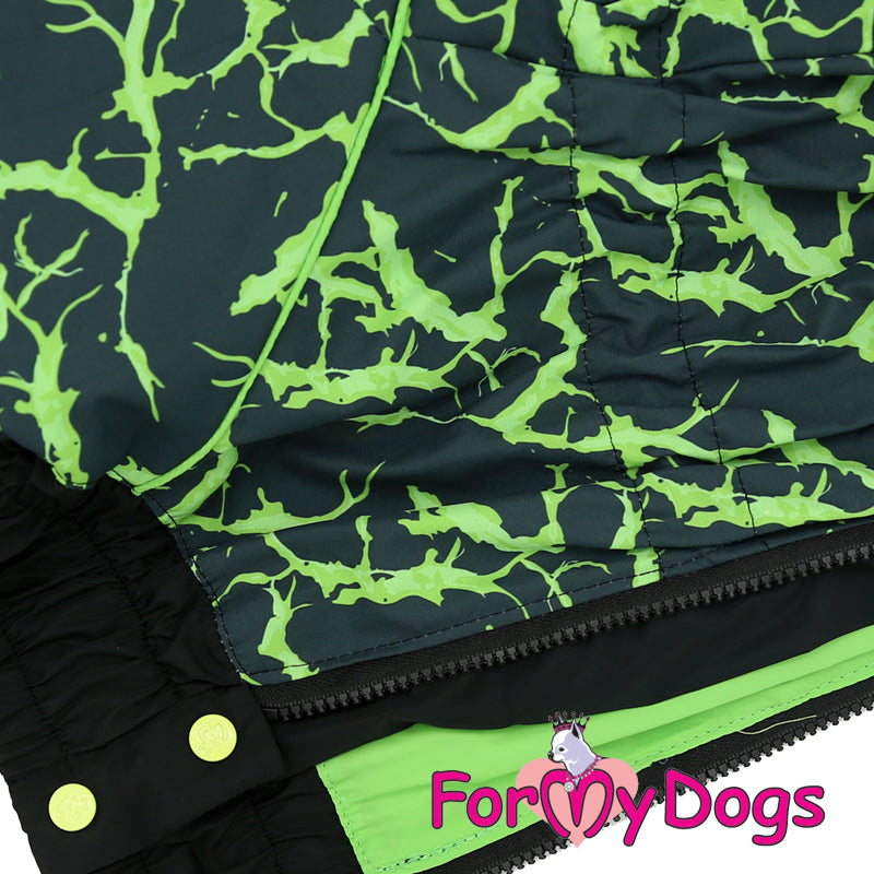 ForMyDogs - "Electric lightning" koiran sadehaalari, keskikokoinen/iso koira, uroksen malli