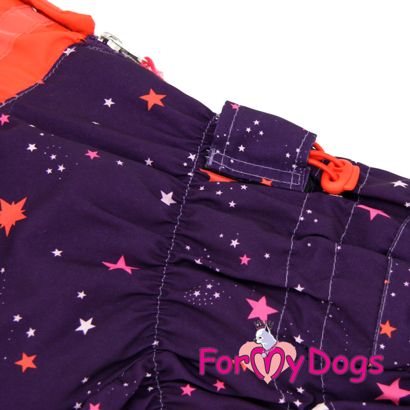 ForMyDogs - "Star" huputon koiran talvihaalari, nartun malli