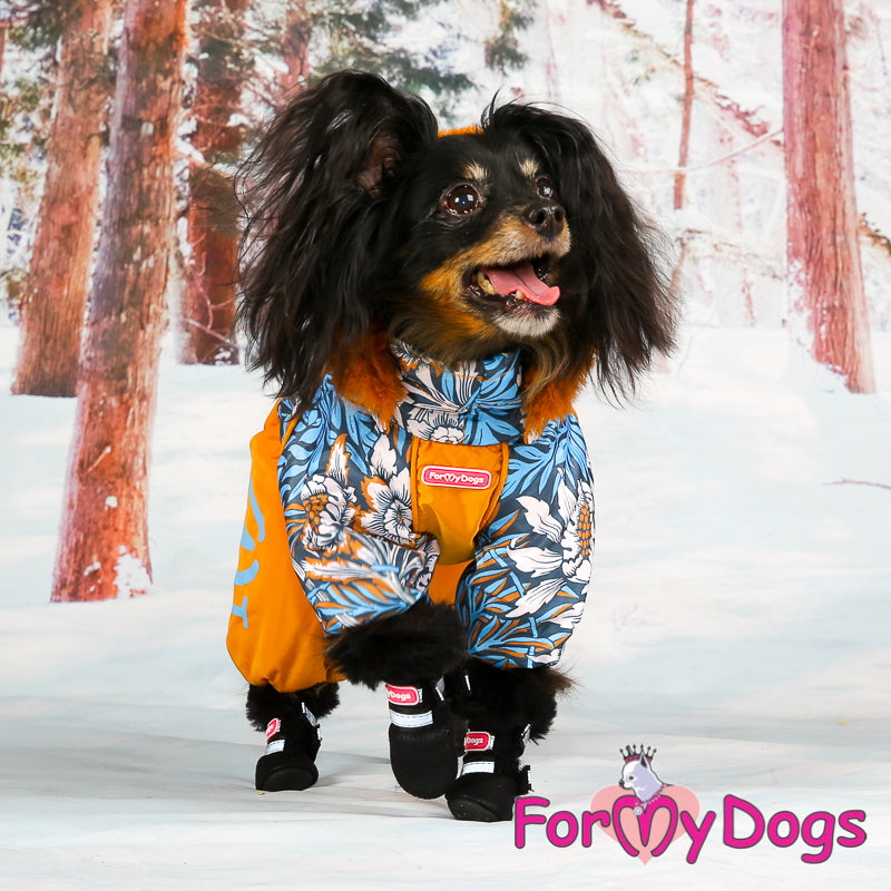 ForMyDogs - "Botanical Garden" koiran talvihaalari, uroksen malli